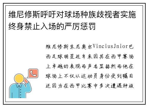 维尼修斯呼吁对球场种族歧视者实施终身禁止入场的严厉惩罚 维尼修斯呼吁对球场种族歧视者实施终身禁止入场的严厉惩罚